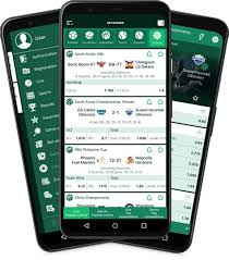 Betwinner Bookmaker A Melhor Opção para Apostadores no Brasil