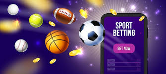 How to Bet on Ice Hockey and Win More Often 13 How to Bet on Ice Hockey and Win More Often 13