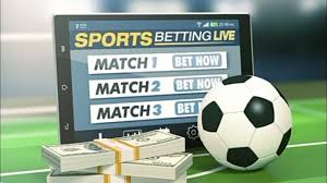 The Ultimate Guide to bet24 Your Gateway to Online Betting