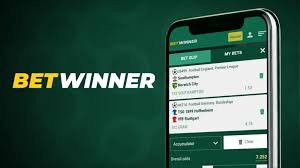 Explore the Benefits of the Betwinner Live Betting App