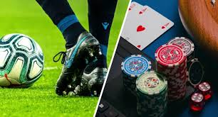 Descubra as Melhores Casas de Apostas em 2023 -611529981